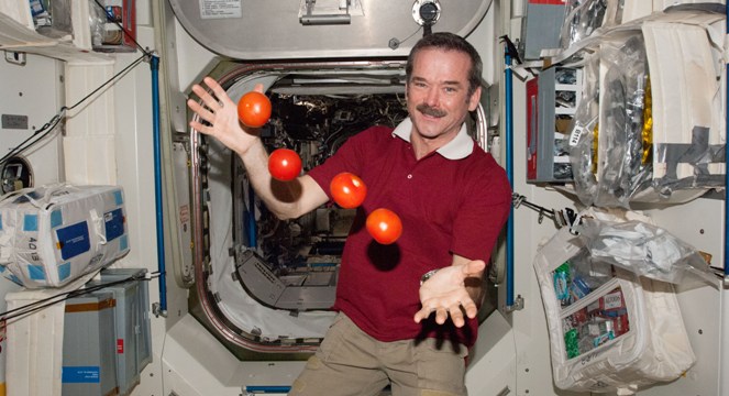  Commander Hadfield: Internet star says goodbye to the cosmos 