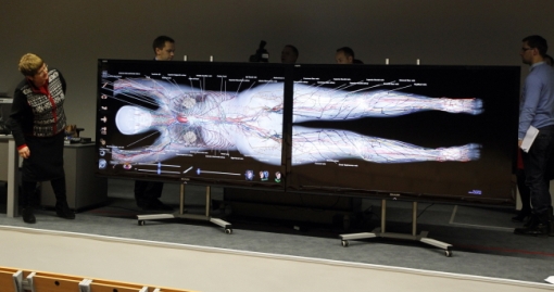 Wirtualny stół anatomiczny