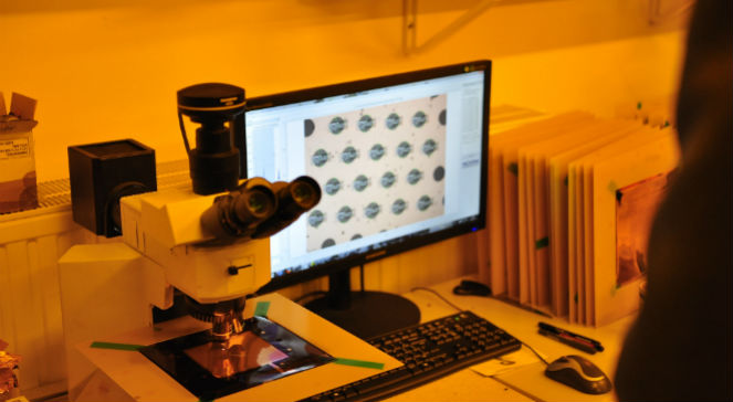Wszystkie mikrootworki w folii GEM (pod mikroskopem, obraz na monitorze) muszą być identyczne.
fot. R.Motriuk/IAR/Dominik Marzec
